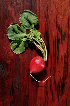 Fresh red radish on red background , uncooked root vegetable
