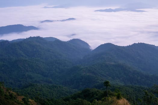 Landscape of mountain view with morning fog at sunrise time.