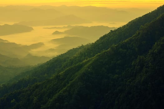 Landscape of mountain view with morning fog at sunrise time.