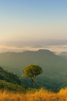 Landscape of mountain view with morning fog at sunrise time.