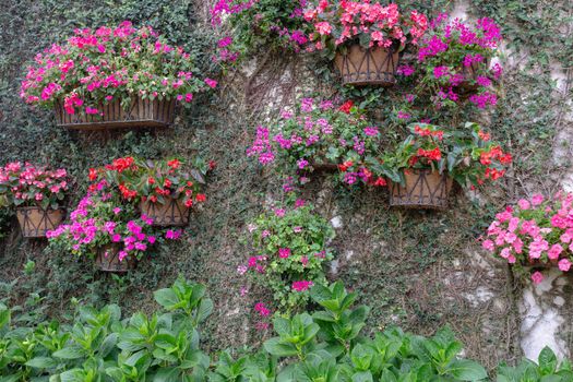 Walls decorated with flowers, many types of flower pots