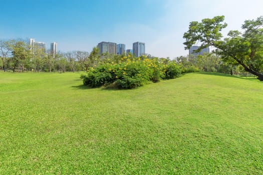 Beautiful garden in daytime outdoor nature background.