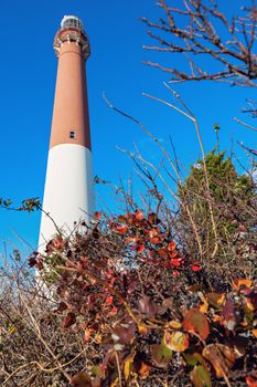 Barnegat Lighthouse in New Jersey. Long Beach Island, New Jersey, USA.