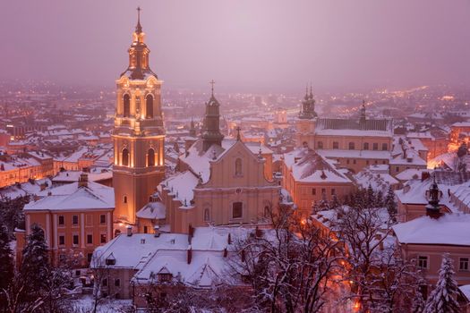 Przemysl Cathedral in winter scenery. Przemysl, Podkarpackie, Poland.