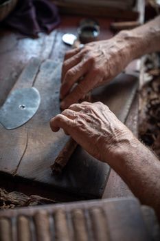 Cigar rolling or making by torcedor in cuba, Pinar del rio province