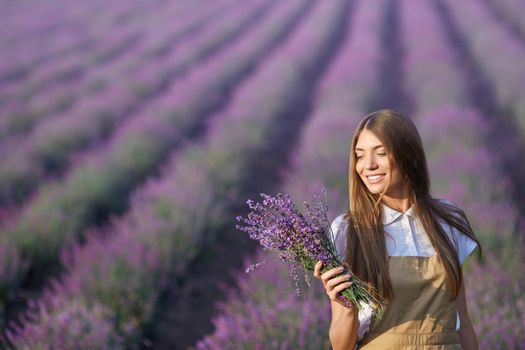 Portrait of pretty young smiling female wearing farm apron collecting lavender harvest in summer. Happy girl posing with bouquet near patches in endless lavender field and looking aside.