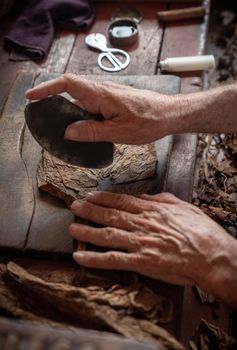 Cigar rolling or making by torcedor in cuba, Pinar del rio province