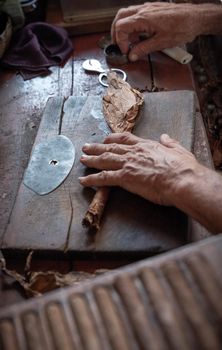 Cigar rolling or making by torcedor in cuba, Pinar del rio province