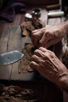 Cigar rolling or making by torcedor in cuba, Pinar del rio province