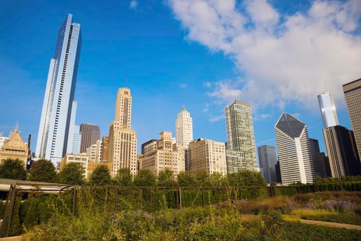Autumn in Chicago - Gold Coast buildings