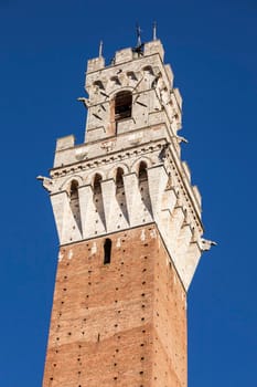 Siena town hall seen afternoon. Siena, Tuscany, Italy