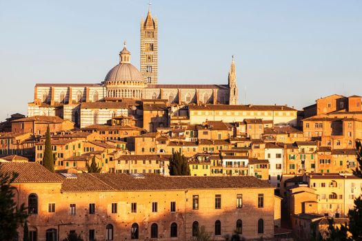 Siena Cathedral in Siena at sunset. Siena, Tuscany, Italy.