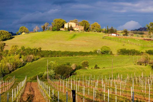 Tuscany landscape at sunset. Tuscany, Italy.