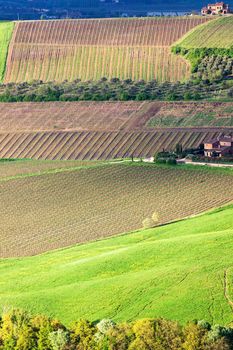 Tuscany landscape during spring. Tuscany, Italy.