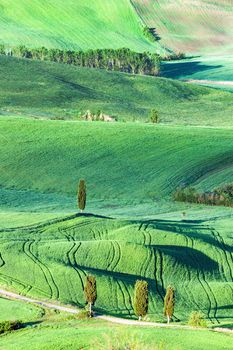Beautiful Tuscany landscape seen springtime. Tuscany, Italy