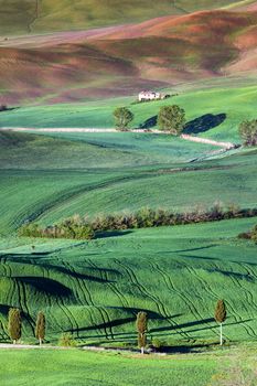 Tuscany - beautiful spring landscape. Tuscany, Italy.