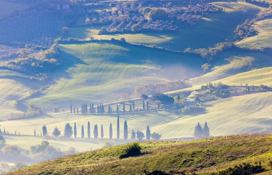 Tuscany landscape in the morning. Tuscany, Italy.