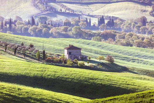 Tuscany landscape in the morning. Tuscany, Italy.