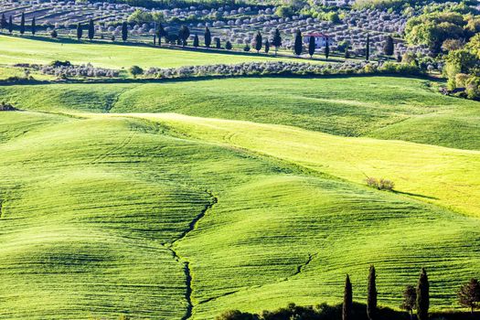 Beautiful Tuscany landscape at spring. Tuscany, Italy