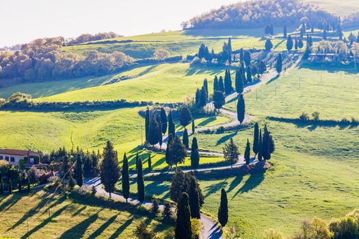 Tuscany landscape - curvy road on the hill. Tuscany, Italy.