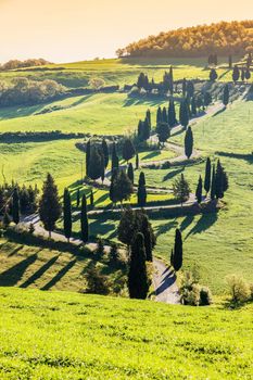 Tuscany landscape - sunny, bright day. Tuscany, Italy.