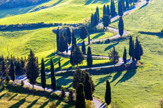 Tuscany landscape in the morning. Tuscany, Italy.