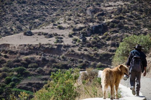 A farmer and his dog walking on the edge of a road on top of the mountain