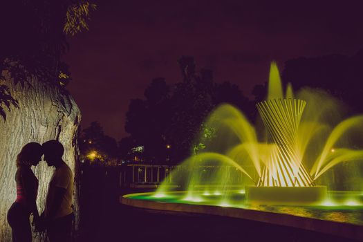 Shadow of a man and a woman kissing in the night of a park
