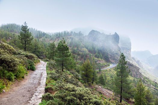 Trail to Roque Nublo in fog. Gran Canaria, Canary Islands, Spain.