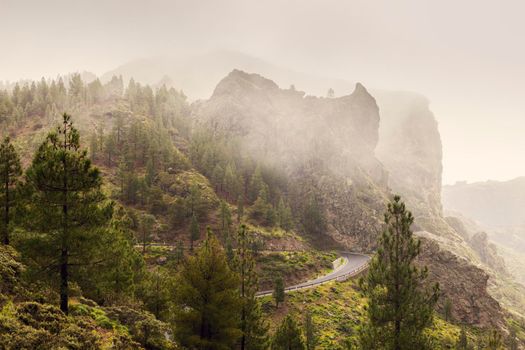 Road to Roque Nublo. Gran Canaria, Canary Islands, Spain