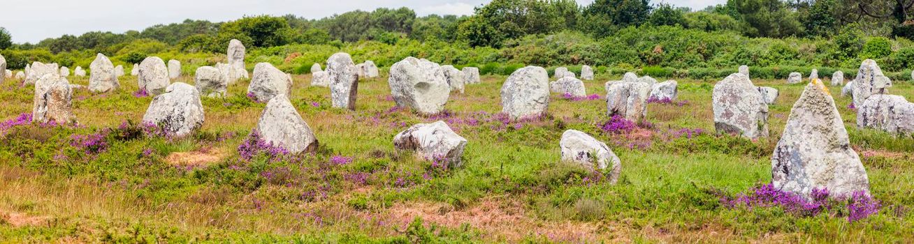Carnac stones - panoramic view. Carnac, Brittany, France.
