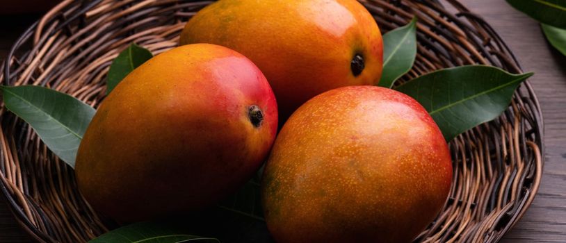 Mango. Close up of fresh ripe mango fruit on a bamboo sieve over dark wooden table background with green leaves.