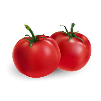 Fresh red tomatoes - healthy food design. Realistic style illustration.