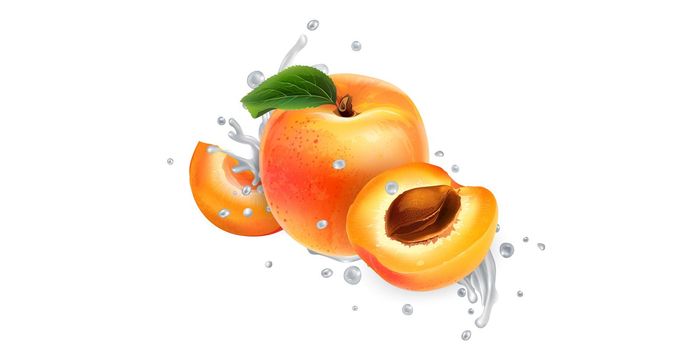Apricots and a splash of yogurt or milk on a white background. Realistic style illustration.