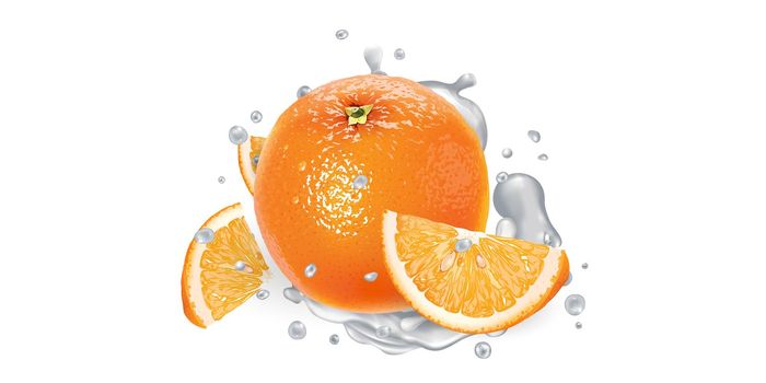Orange and a splash of yogurt on a white background. Realistic style illustration.