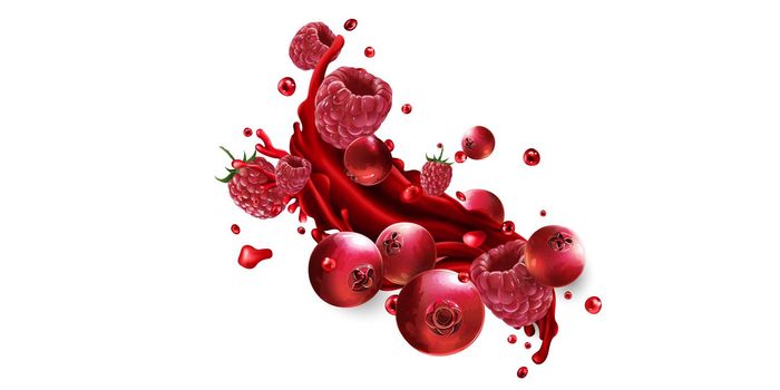 Cranberries and raspberries and a splash of red fruit juice on a white background. Realistic style illustration.