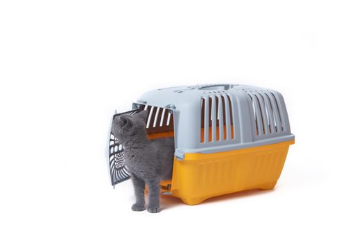 Carrier for cats and small dogs isolated on a white background. safe transportation of animals, article about the transportation of animals. Isolated white background. Gray plastic carry for cats. Veterinary Medicine Article about veterinarians