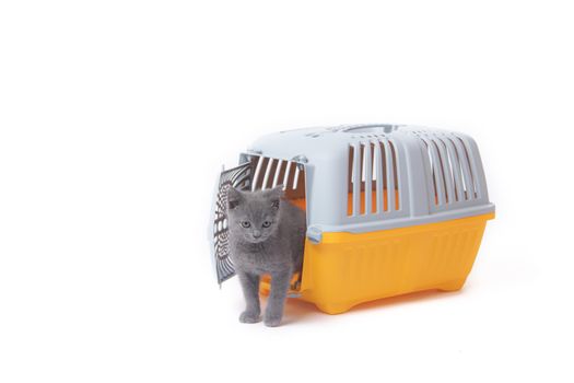 Carrier for cats and small dogs isolated on a white background. safe transportation of animals, article about the transportation of animals. Isolated white background. Gray plastic carry for cats. Veterinary Medicine Article about veterinarians