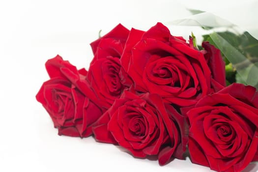 Red roses isolated on a white background. Bouquet of red roses. Bouquet of fresh flowers. Holiday.