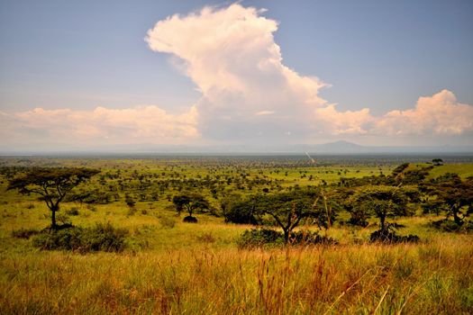 View of Queen Elizabeth National Park and the wonderful savanna, Uganda