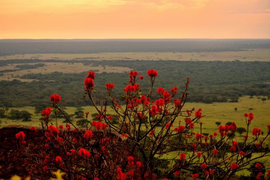 View of Queen Elizabeth National Park and the wonderful savanna, Uganda