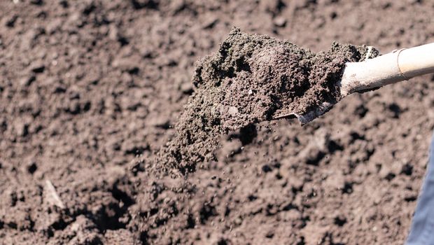 Digging of beds in the spring. Sowing. Preparing the soil for sowing. Home garden. Self-isolation in the village. Household. An article about soil preparation in spring for sowing. Fertile land