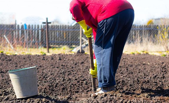 Digging of beds in the spring. Sowing. Preparing the soil for sowing. Home garden. Self-isolation in the village. Household. An article about soil preparation in spring for sowing. Fertile land