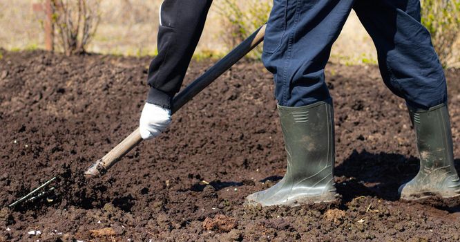 Digging of beds in the spring. Sowing. Preparing the soil for sowing. Home garden. Self-isolation in the village. Household. An article about soil preparation in spring for sowing. Fertile land