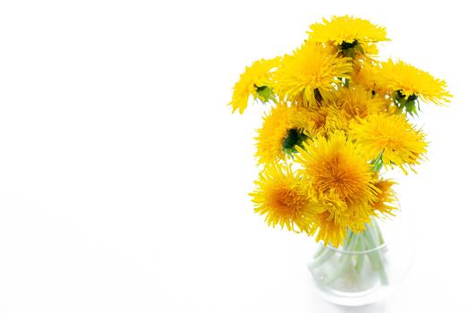 Bouquet of yellow dandelions in a vase on a white background. Bright yellow flowers. Room decoration. Flowers on a white background. Dandelions