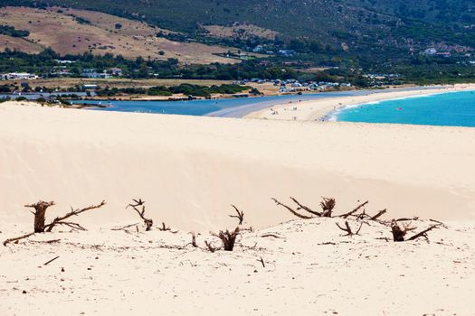 The dunes of Tarifa. Tarifa, Andalusia, Spain.