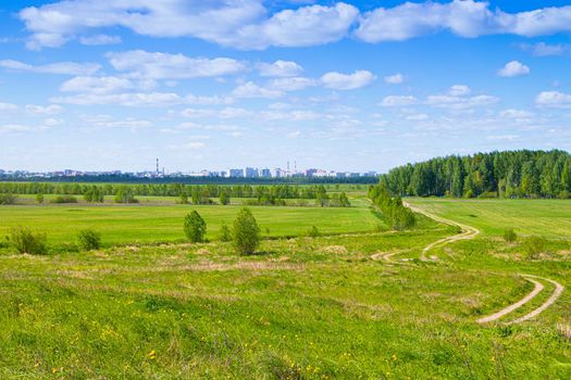 Summer Sunny landscape in the field. Beautiful summer landscape. Photos in the daytime in sunlight. nature of Russia. Green grass and blue sky.