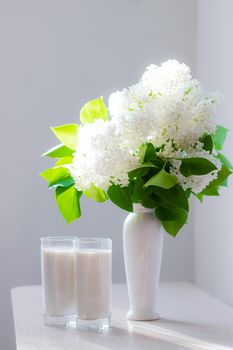 Milk and white lilac . Glasses of milk and white flowers in a vase. Cow's milk. Drink. Memories from childhood. Article about the benefits of milk.