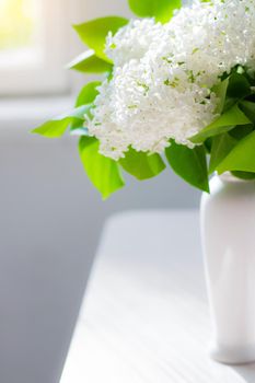 A bouquet of white lilac in a vase . Spring flowers .Smell. Flowers in a vase. Copy space