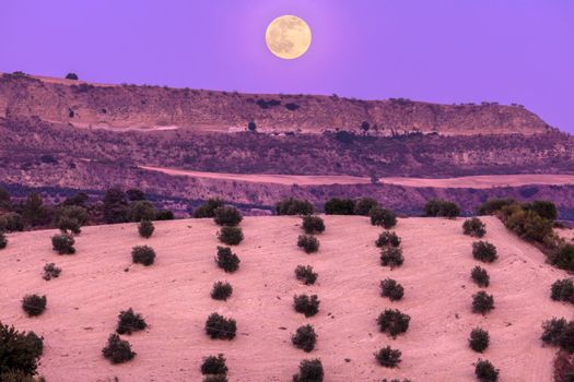 Andalusia panorama at moonrise. Olvera, Andalusia, Spain. Olvera, Andalusia, Spain.